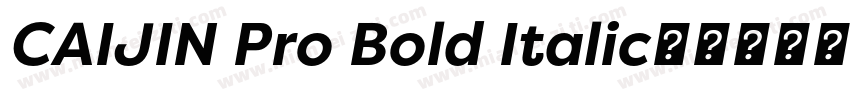 CAIJIN Pro Bold Italic字体转换